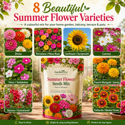 Summer Flower Seeds Mix – 100 Seeds Pack for Balcony, Terrace & Home Garden