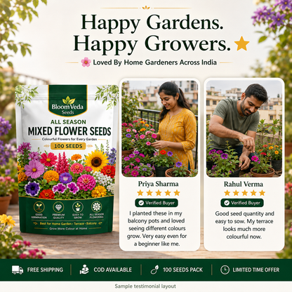 All Season Mixed Flower Seeds 100 Seeds – Best for Home Garden, Balcony & Terrace